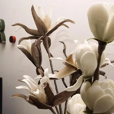 Terrasse, Gratis Nutzung Vom Ahoi Erlebnisbad Und Sauna In Sellin - Meeresblick 77 Appartement Goehren (Ruegen)